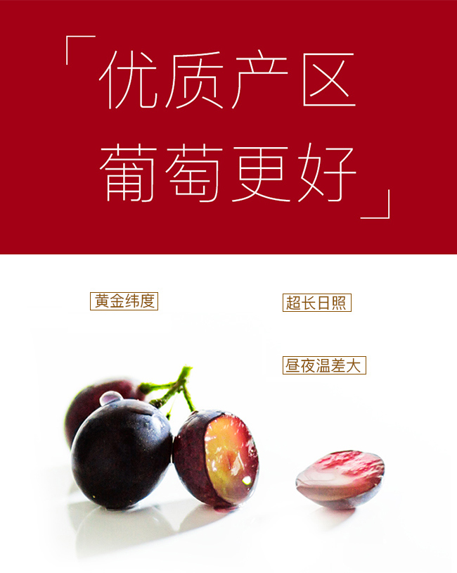 类人首经典蛇龙珠干红葡萄酒12°750ml