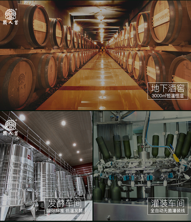 类人首经典蛇龙珠干红葡萄酒12°750ml