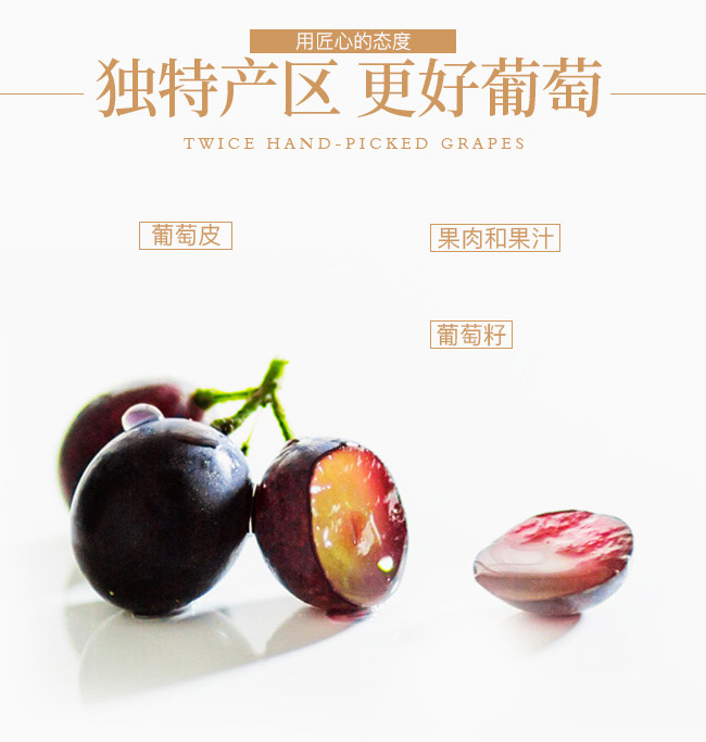 类人首经典赤霞珠干红葡萄酒12°750ml