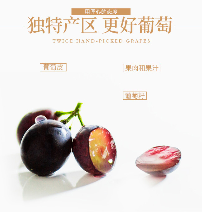 类人首2009经典干红葡萄酒12°750ml