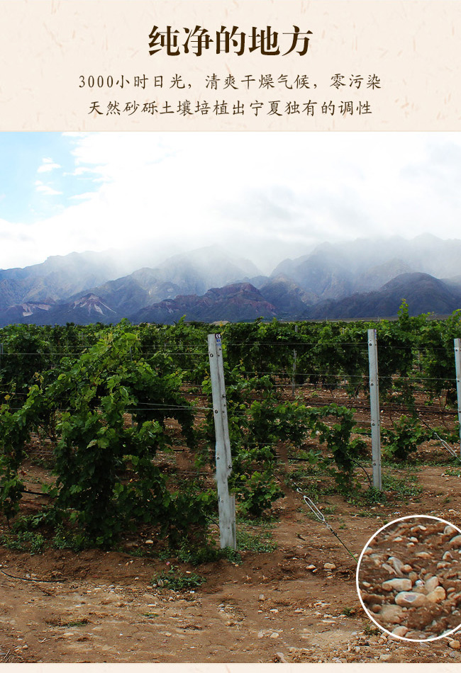 类人首2009经典干红葡萄酒12°750ml