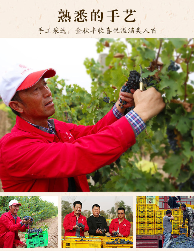 类人首2009经典干红葡萄酒12°750ml