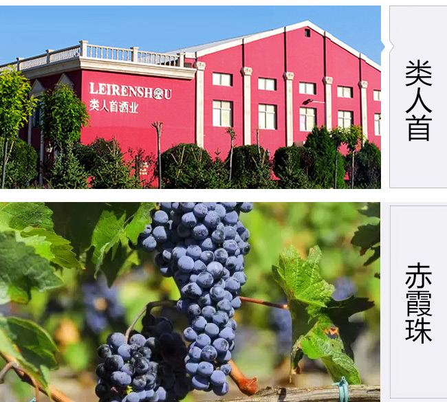 类人首微陈酿赤霞珠葡萄酒