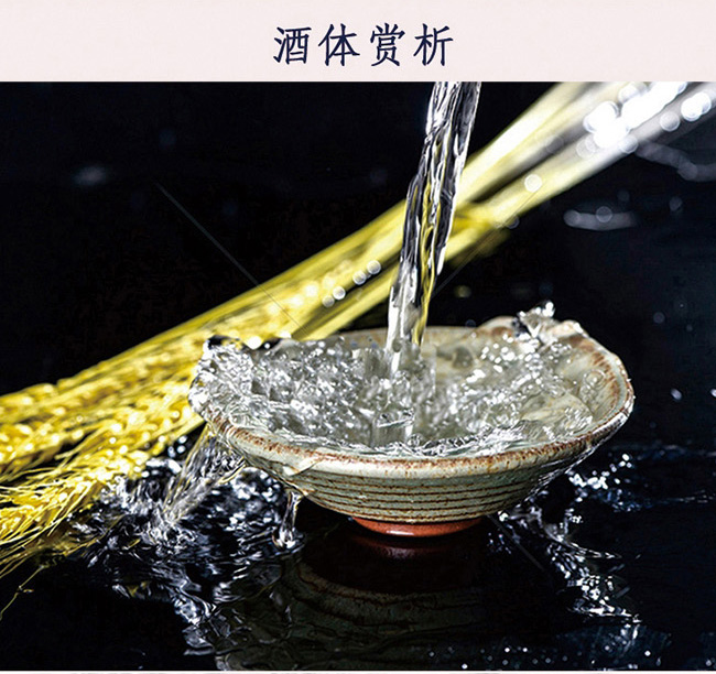 杏花村酒20红42°53°475ml清香型白酒