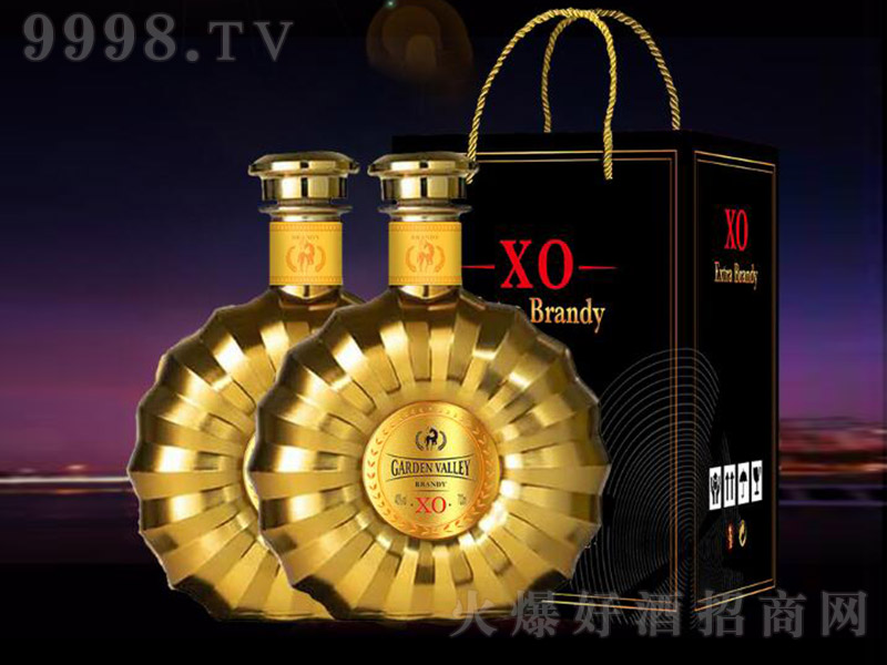 ԰ȡXOؽ׺С40 700ml