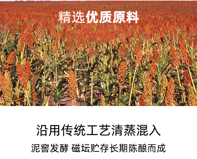 �������� �����Ͱ׾�