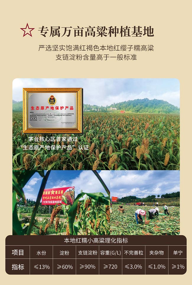 国谊楼国标 酱香型白酒【53° 500ml】