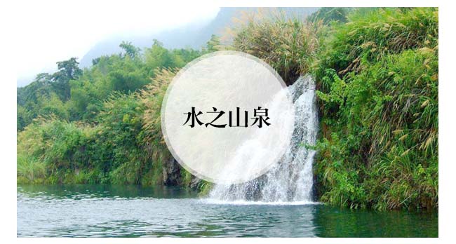 魏亳坊窖龄原浆酒16浓香型白酒【42°52°500ml】