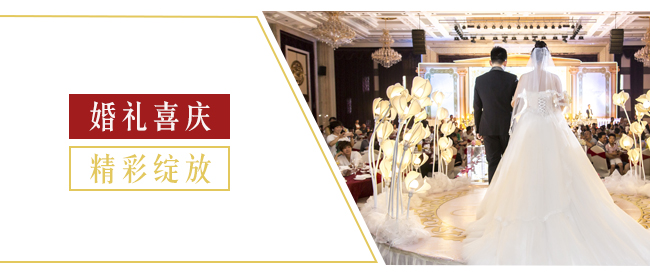 魏亳坊窖龄原浆酒16浓香型白酒【42°52°500ml】