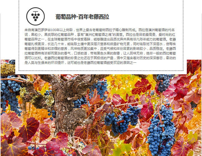 品名:收藏家红葡萄酒