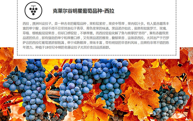 品名:收藏家红葡萄酒