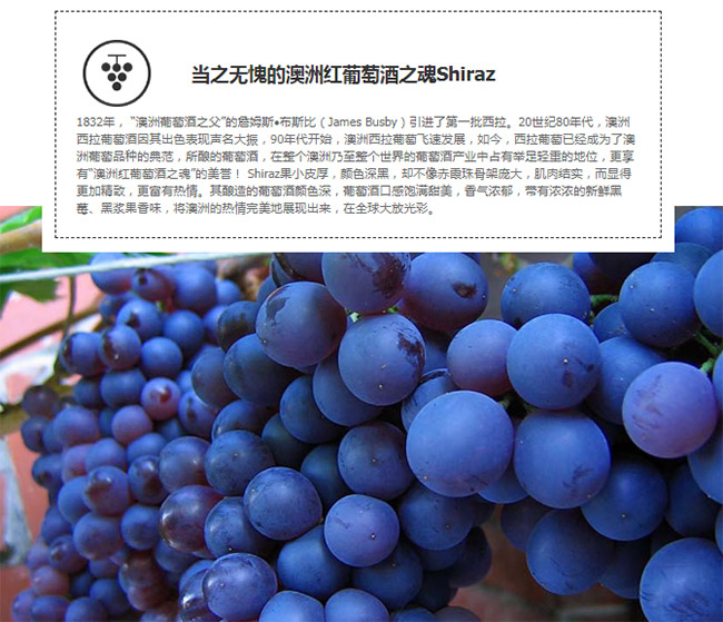 品名:戈尔德小推车红葡萄酒