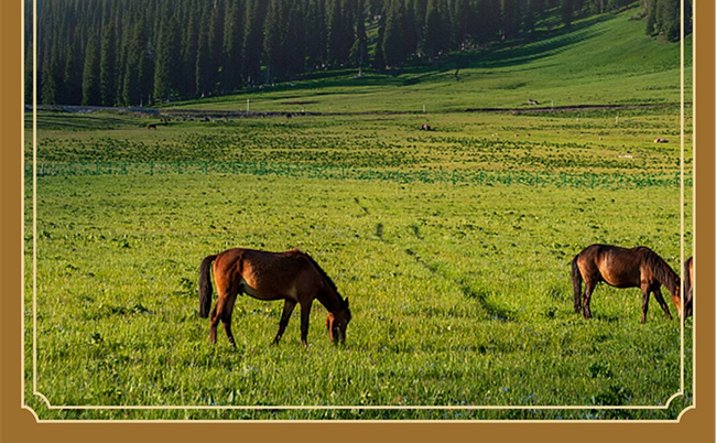 肖尔布拉克酒河谷醇 浓香型白酒【46° 258ml】