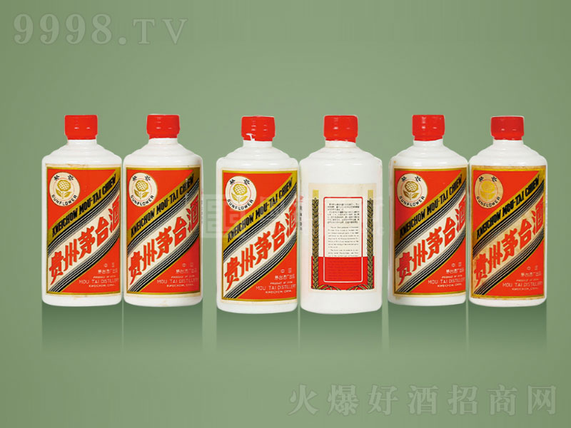 ę́1981ƽ;ơ53500ml