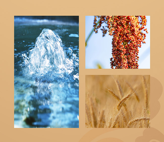 ���ݴ�����Ѳ�