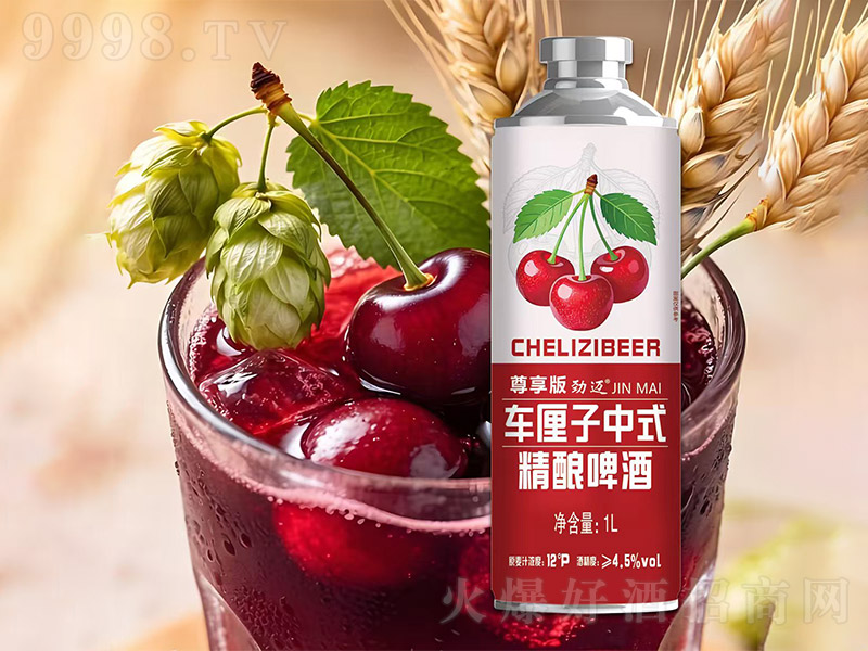 ������������ʽ����ơ�������桾12��1L��